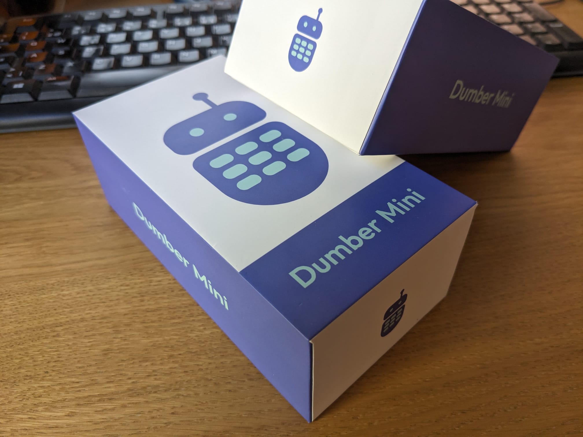 dumbermini.com